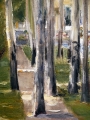 S P1540897